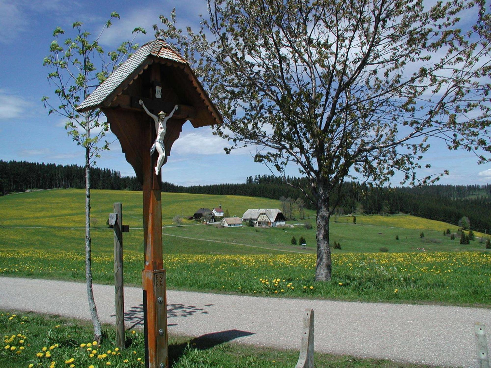 Cafe-Pension Feldbergblick 티티제-노이슈타트 외부 사진